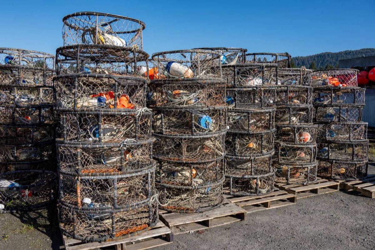 Stacked crab pots on a sunny dock with forested hills behind (placeholder photo)